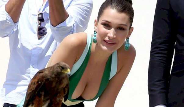 Bella Hadid